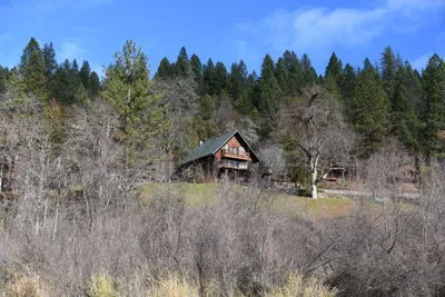 DSC_0228 (Large).JPG